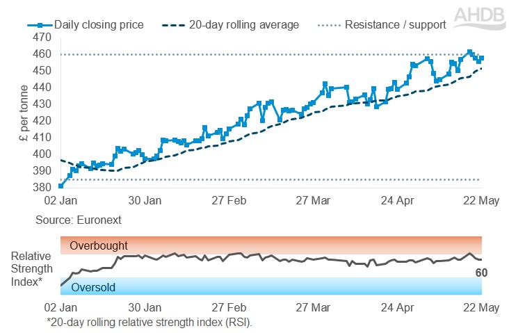 Line graph of Rapeseed futures Nov-26 contract prices over the past six months.